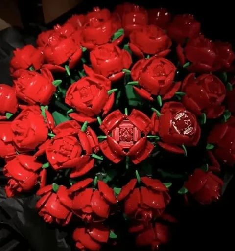 Klemmbaustein Rosen-Sets – Bild 5 – LEGO